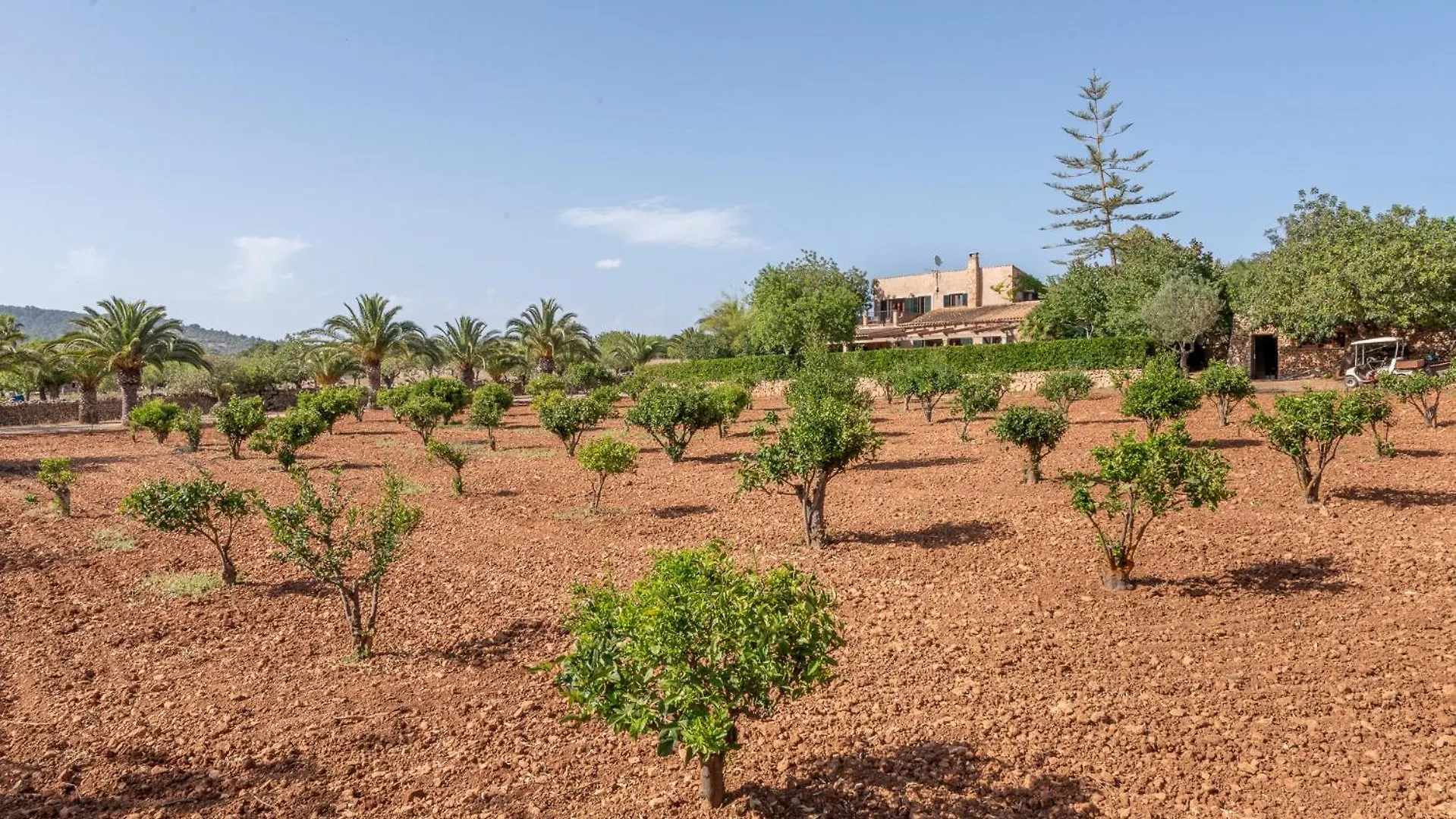 Finca Es Pi By Mallorca House Rent Cala Murada  0*, Cala Murada (Mallorca)